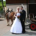 IMG_0054.JPG